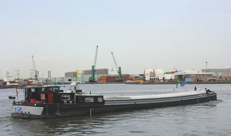 BONAFIDE Bulk Carrier IMO 9047439