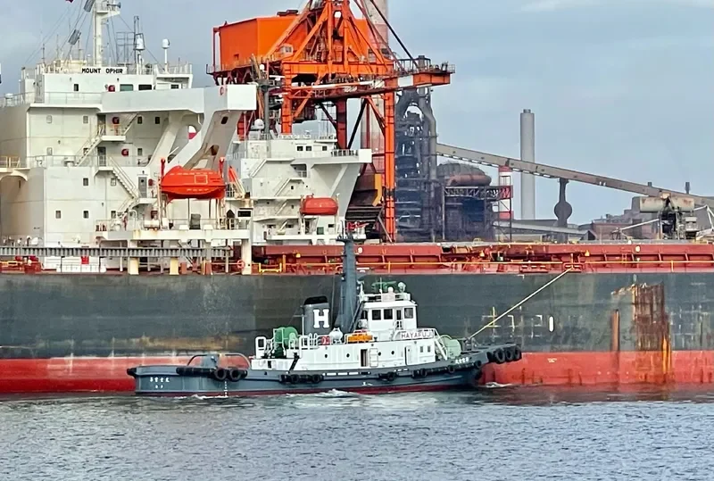 HAYAFUJI MARU General Cargo IMO 9047611 photo 4