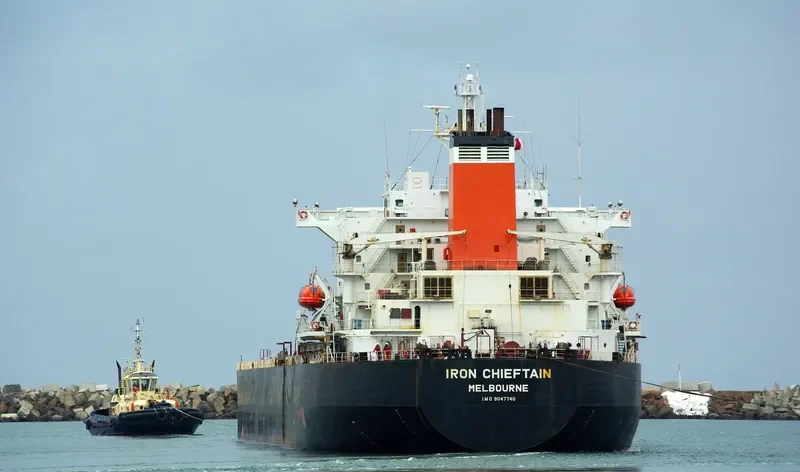 IRON CHIEFTAIN Bulk Carrier IMO 9047740 photo 6