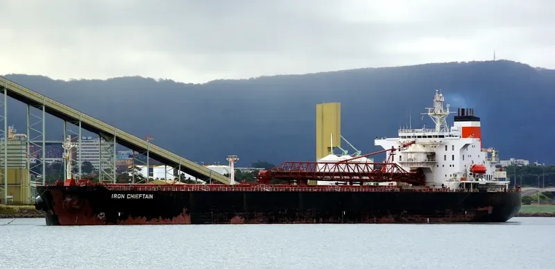 IRON CHIEFTAIN Bulk Carrier IMO 9047740 photo 8