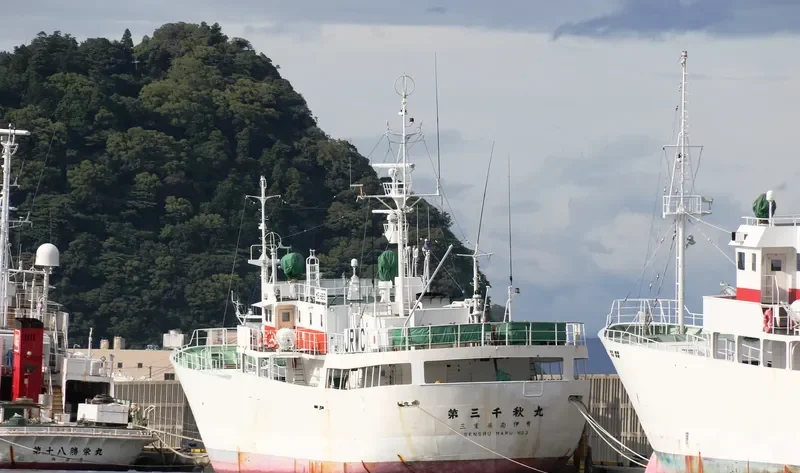 SENSHU MARU NO.3 General Cargo IMO 9047908