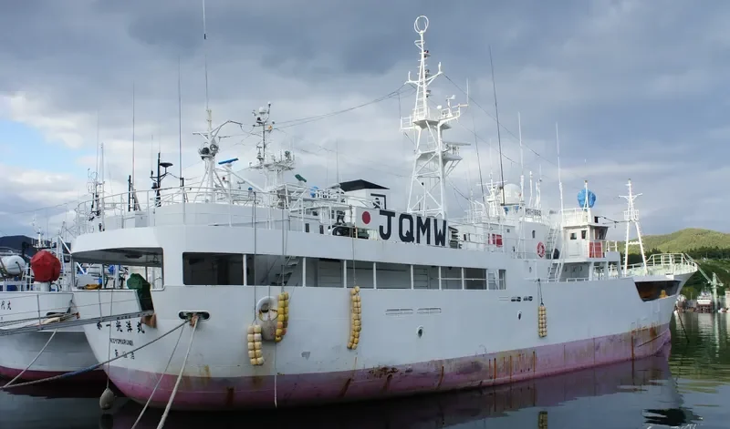 KOLGUEV General Cargo IMO 9047984 photo 2