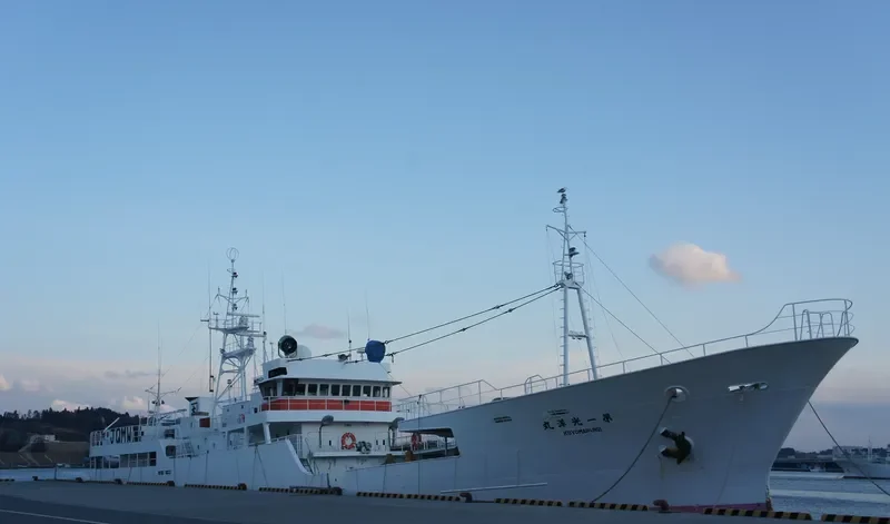 KOLGUEV General Cargo IMO 9047984 photo 3