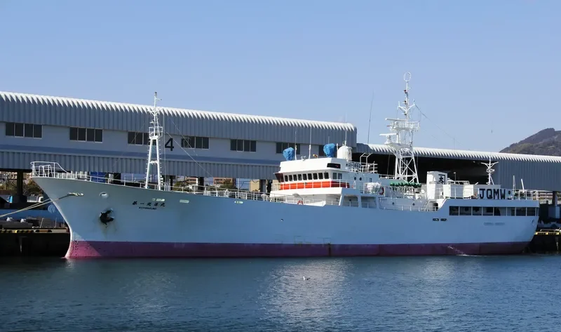 KOLGUEV General Cargo IMO 9047984 photo 4
