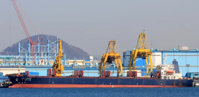 NEW HORIZON Bulk Carrier IMO 9048108