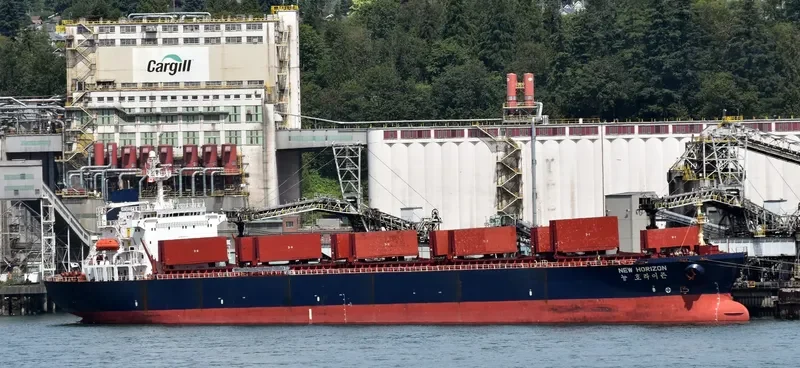 NEW HORIZON Bulk Carrier IMO 9048108 photo 3