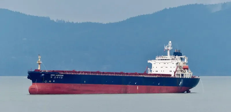 NEW HORIZON Bulk Carrier IMO 9048108 photo 4