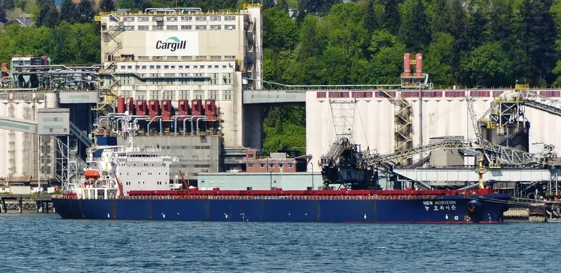NEW HORIZON Bulk Carrier IMO 9048108 photo 5