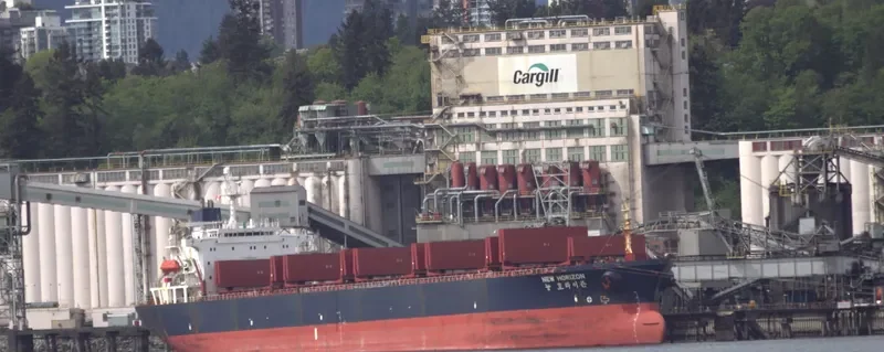 NEW HORIZON Bulk Carrier IMO 9048108 photo 6