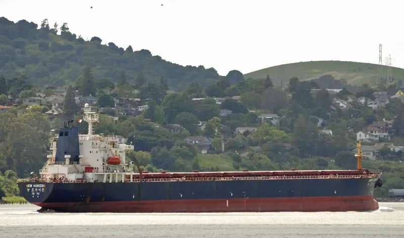 NEW HORIZON Bulk Carrier IMO 9048108 photo 7