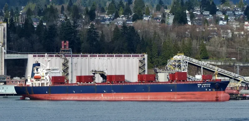 NEW HORIZON Bulk Carrier IMO 9048108 photo 8