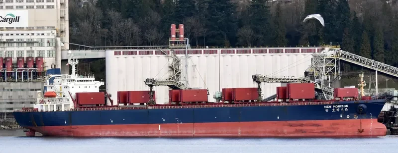 NEW HORIZON Bulk Carrier IMO 9048108 photo 9