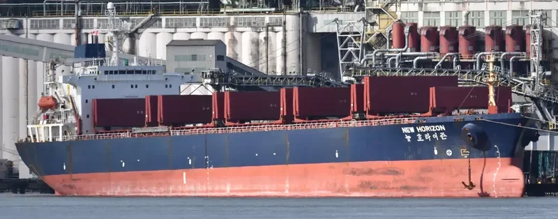 NEW HORIZON Bulk Carrier IMO 9048108 photo 10