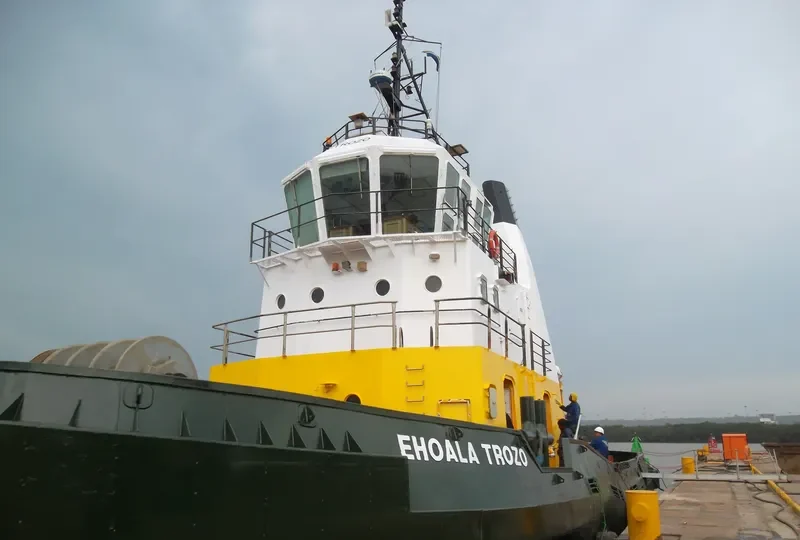 EHOALA TROZO General Cargo IMO 9048196 photo 2