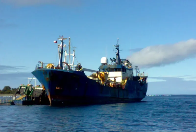 TERRANOVA General Cargo IMO 9048213 photo 3