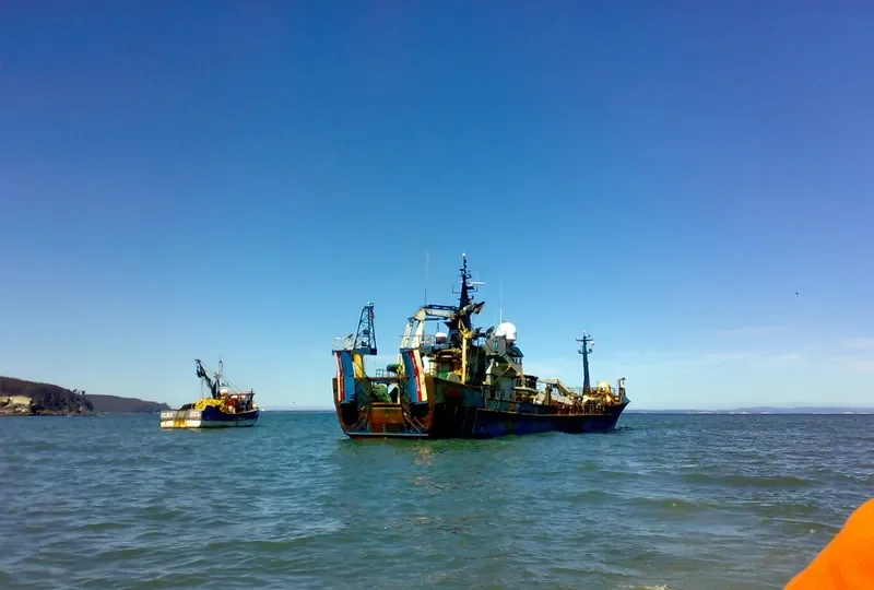 TERRANOVA General Cargo IMO 9048213 photo 4