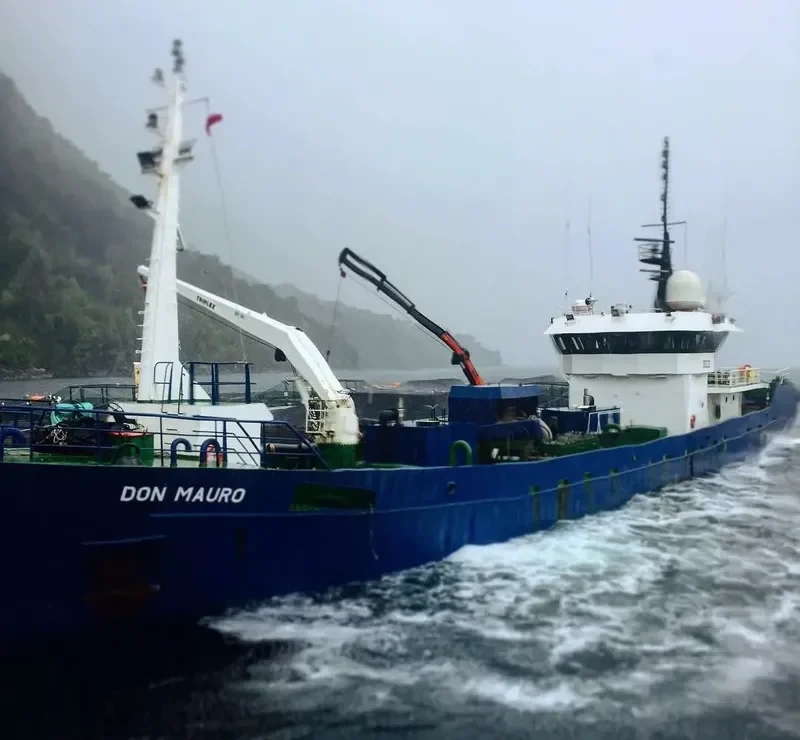 DON MAURO General Cargo IMO 9048249