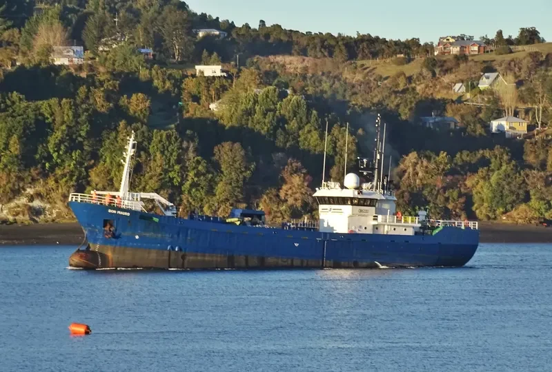 DON MAURO General Cargo IMO 9048249 photo 5