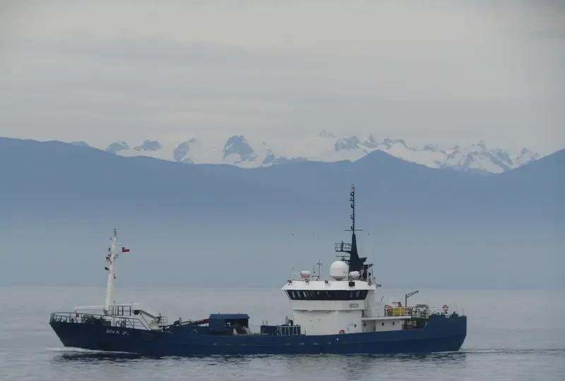 DON MAURO General Cargo IMO 9048249 photo 8