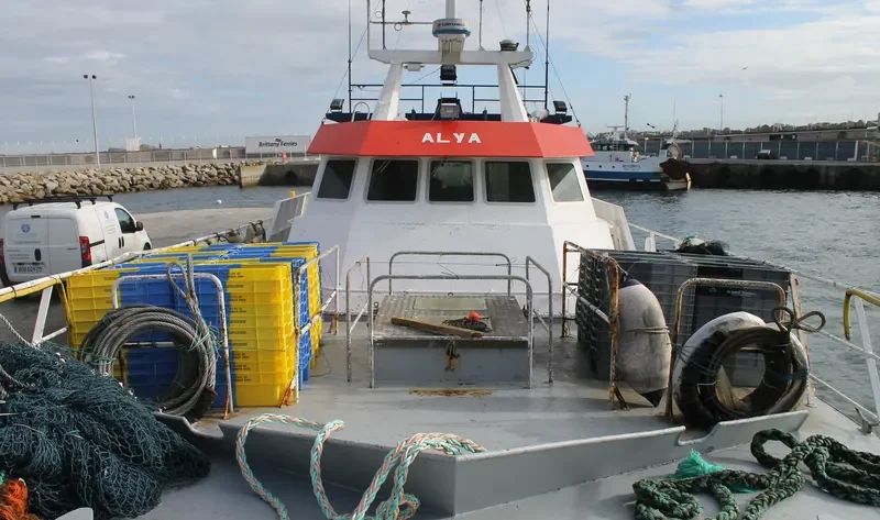 ALYA General Cargo IMO 9048380 photo 6