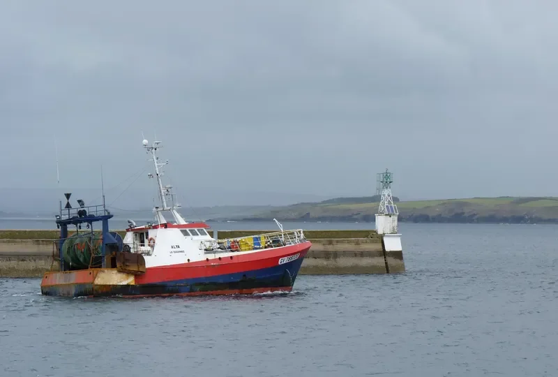 ALYA General Cargo IMO 9048380 photo 10