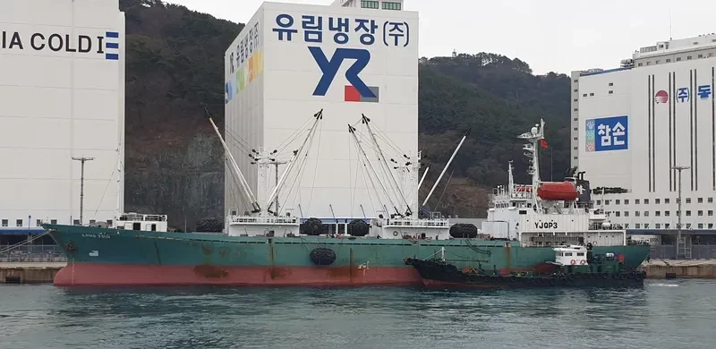 LUNG YUIN General Cargo IMO 9048603 photo 8