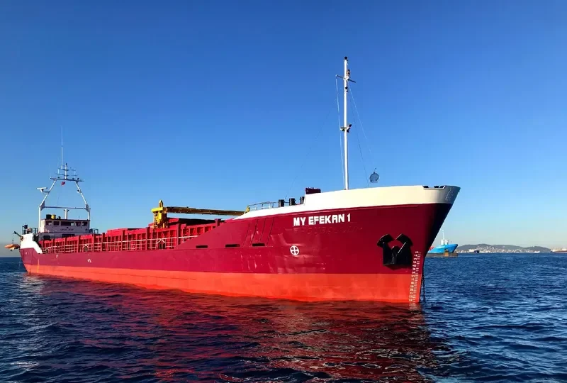 MY EFEKAN 1 General Cargo IMO 9048639