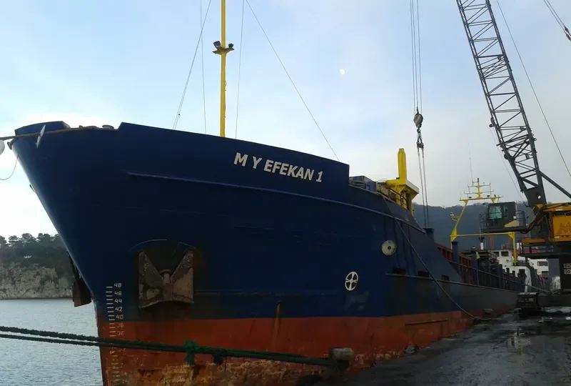 MY EFEKAN 1 General Cargo IMO 9048639 photo 6