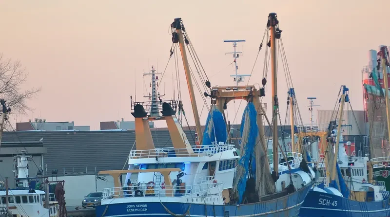 JORIS SENIOR General Cargo IMO 9048677 photo 5