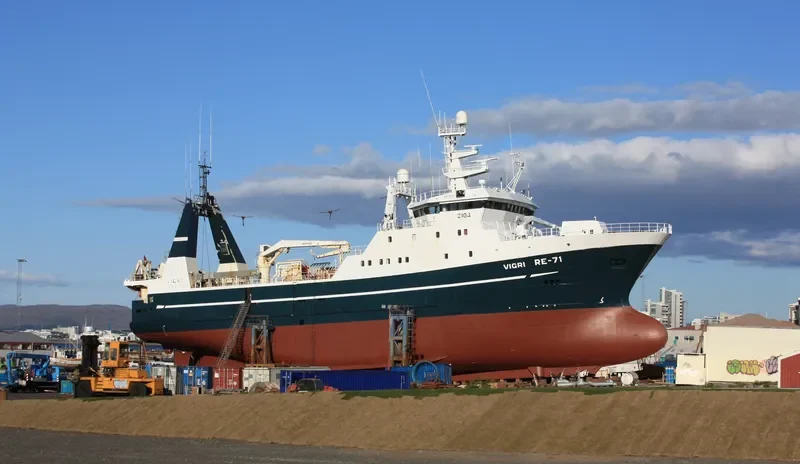 VIGRI General Cargo IMO 9048691 photo 10