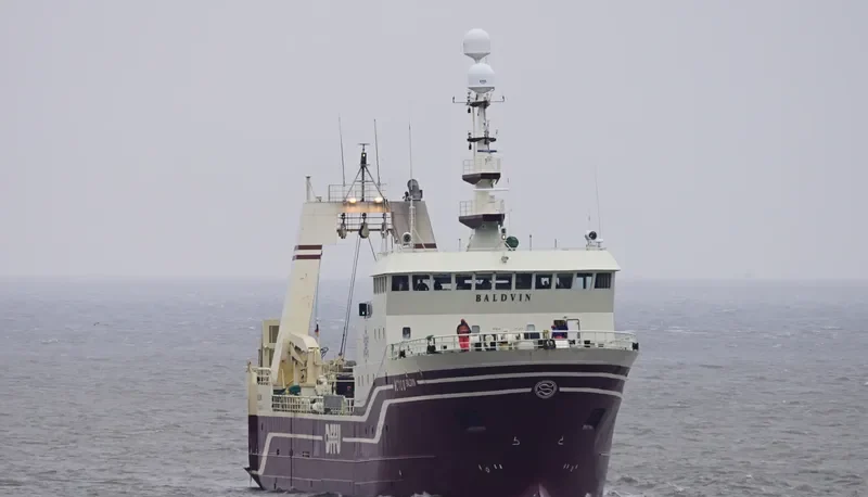 POLONUS General Cargo IMO 9048902 photo 8