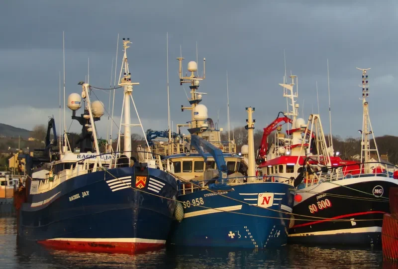ETERNAL DAWN General Cargo IMO 9049152 photo 7