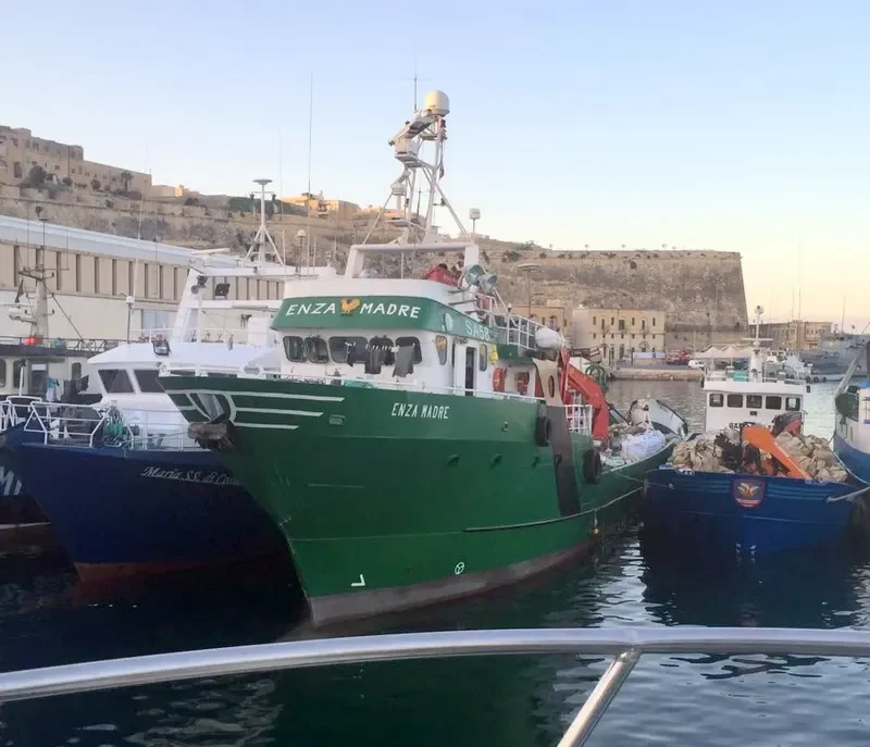 ENZA MADRE General Cargo IMO 9050216