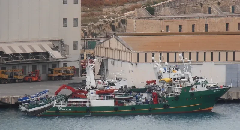 ENZA MADRE General Cargo IMO 9050216 photo 5