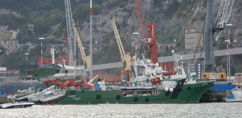 ENZA MADRE General Cargo IMO 9050216 photo 6