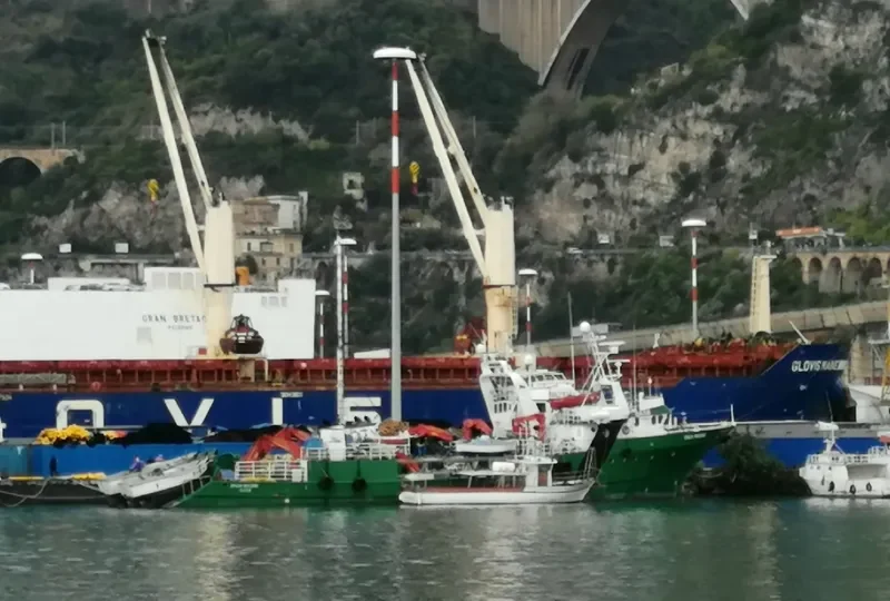 ENZA MADRE General Cargo IMO 9050216 photo 7
