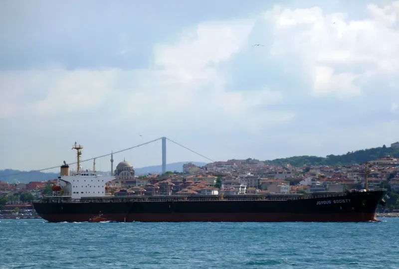 JOYOUS SOCIETY Bulk Carrier IMO 9050254 photo 4