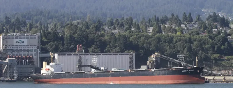 JOYOUS WORLD Bulk Carrier IMO 9050266 photo 3