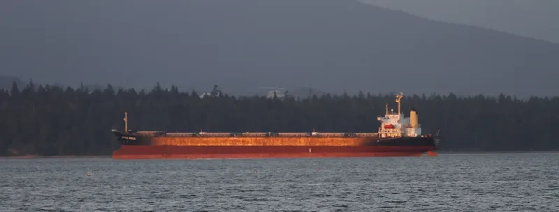 JOYOUS WORLD Bulk Carrier IMO 9050266 photo 4