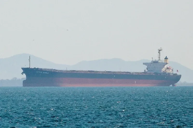 JOYOUS WORLD Bulk Carrier IMO 9050266 photo 5