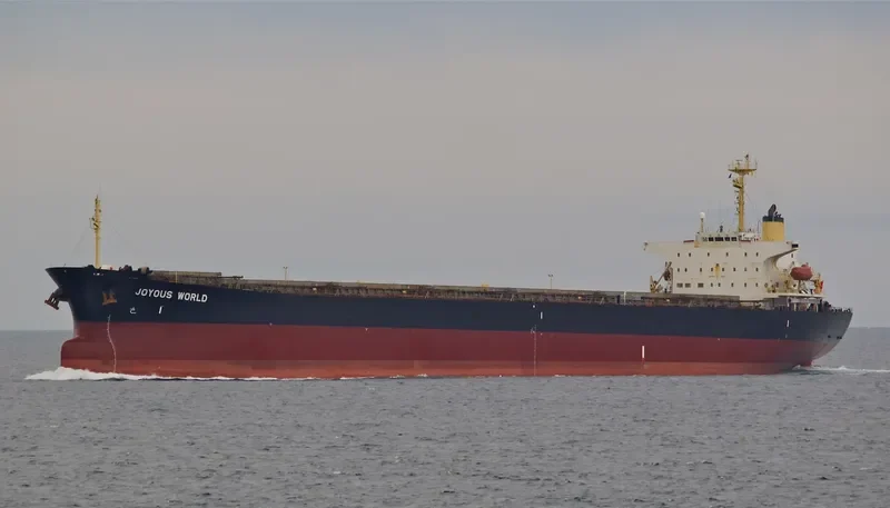 JOYOUS WORLD Bulk Carrier IMO 9050266 photo 6