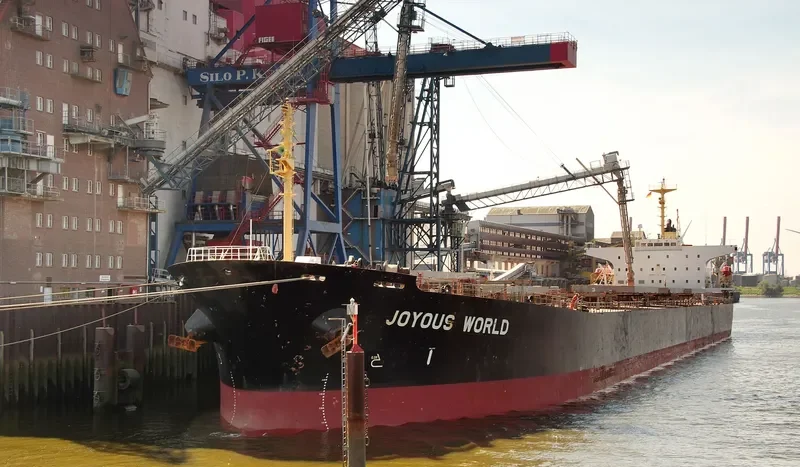 JOYOUS WORLD Bulk Carrier IMO 9050266 photo 7