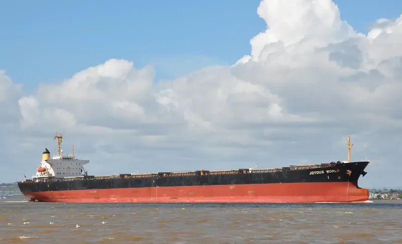 JOYOUS WORLD Bulk Carrier IMO 9050266 photo 8