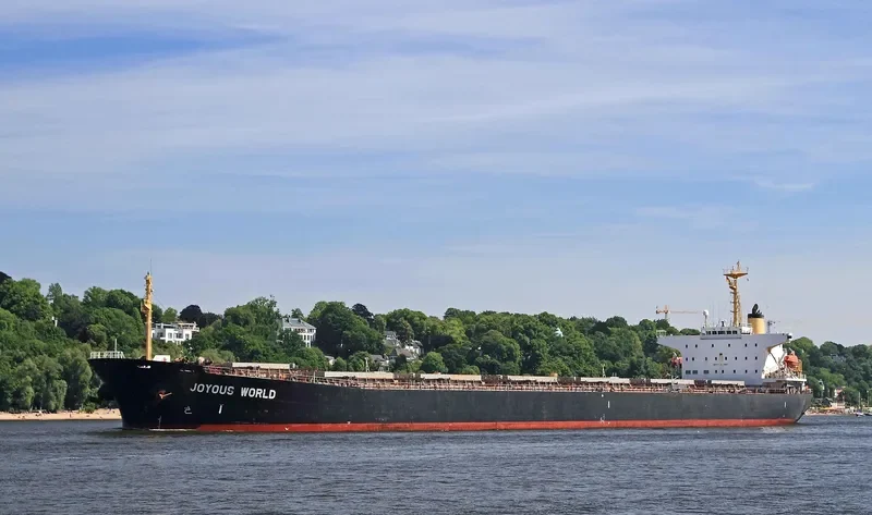 JOYOUS WORLD Bulk Carrier IMO 9050266 photo 9
