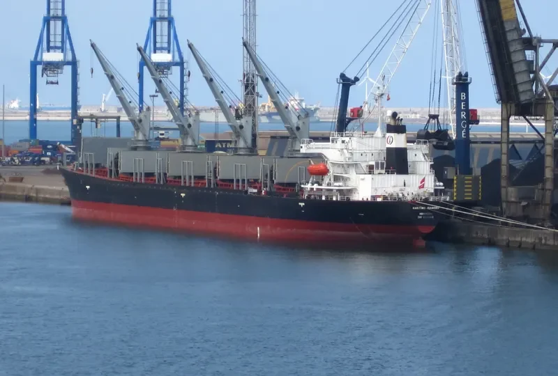 HAI CHANG Bulk Carrier IMO 9050292 photo 5