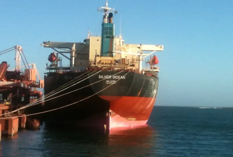 SILVER OCEAN Bulk Carrier IMO 9050307