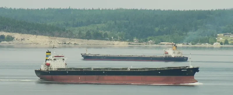 MASS MERIT Bulk Carrier IMO 9050319 photo 2