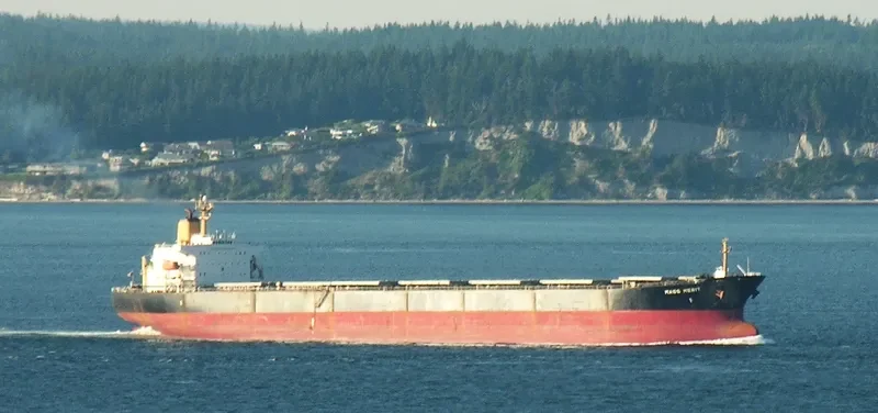 MASS MERIT Bulk Carrier IMO 9050319 photo 3