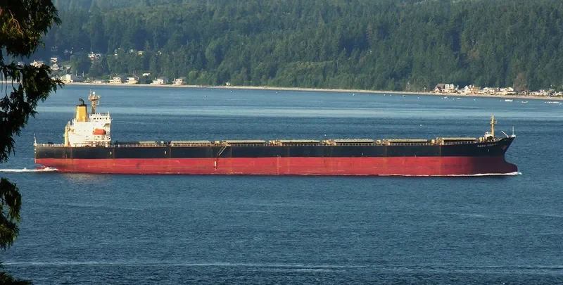 MASS MERIT Bulk Carrier IMO 9050319 photo 4