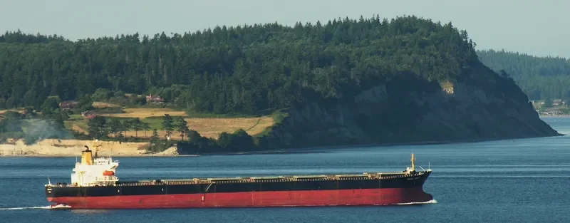 MASS MERIT Bulk Carrier IMO 9050319 photo 5